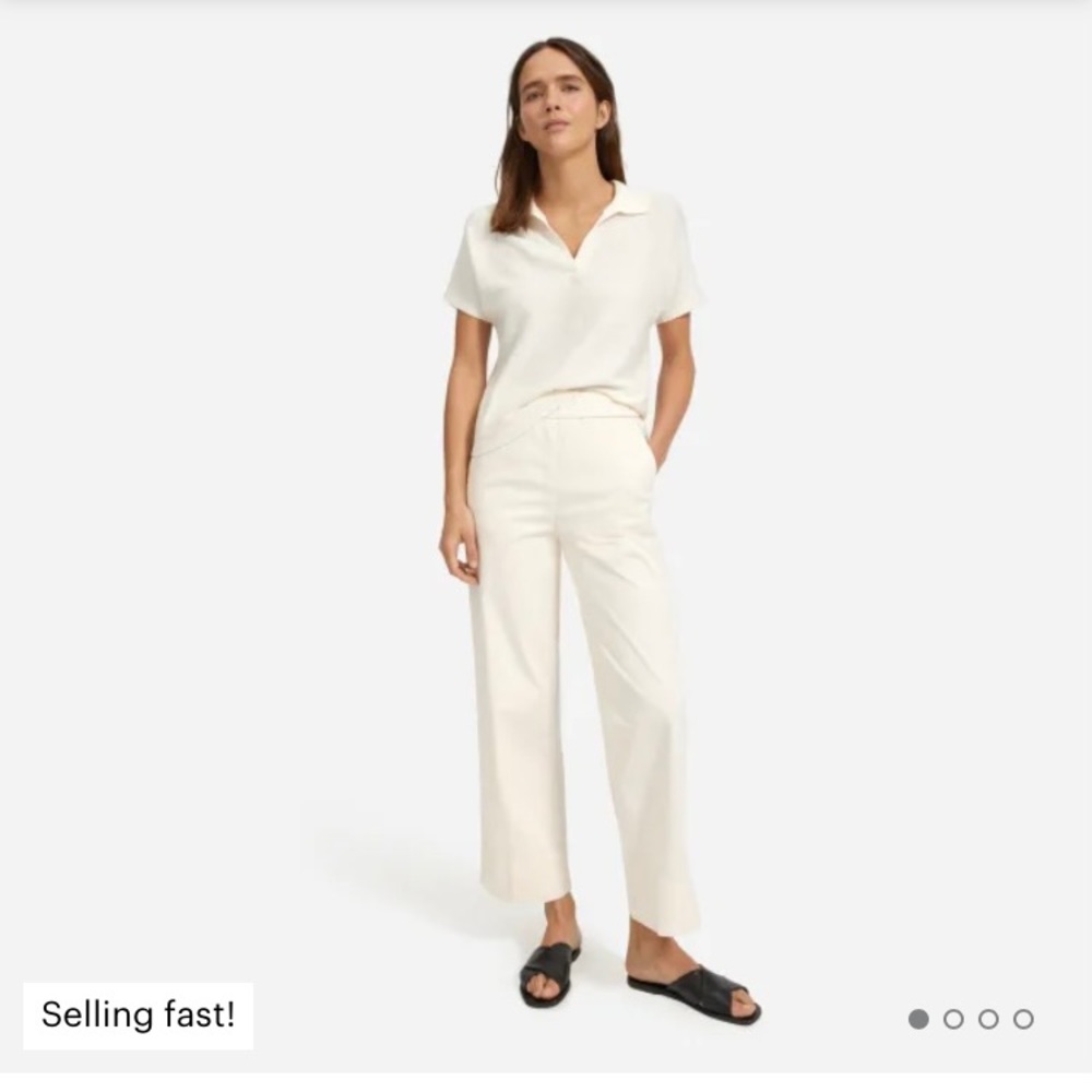 Everlane The Easy Pant - canvas